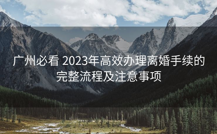 广州必看 2023年高效办理离婚手续的完整流程及注意事项 广州必看 2023年高效办理离婚手续的完整流程及注意事项