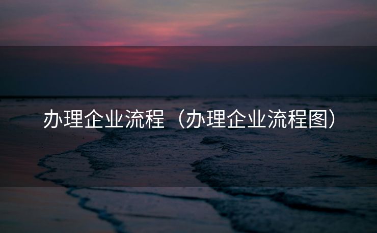 办理企业流程（办理企业流程图）