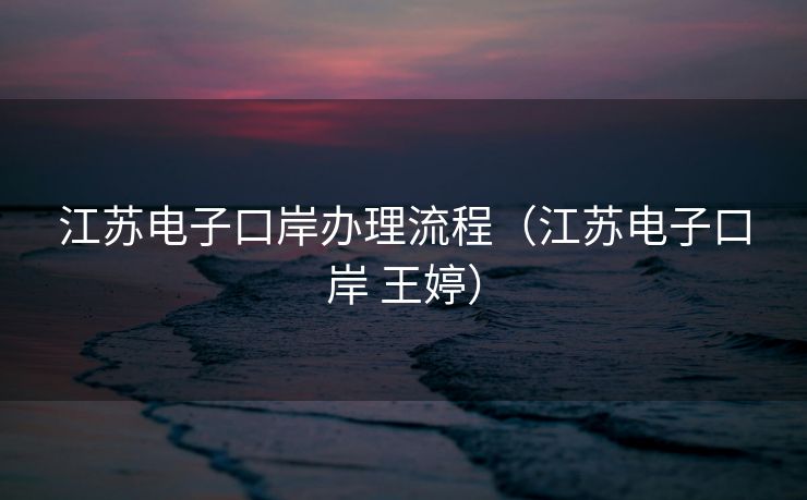 江苏电子口岸办理流程（江苏电子口岸 王婷）