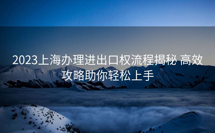 2023上海办理进出口权流程揭秘 高效攻略助你轻松上手 2023上海办理进出口权流程揭秘 高效攻略助你轻松上手