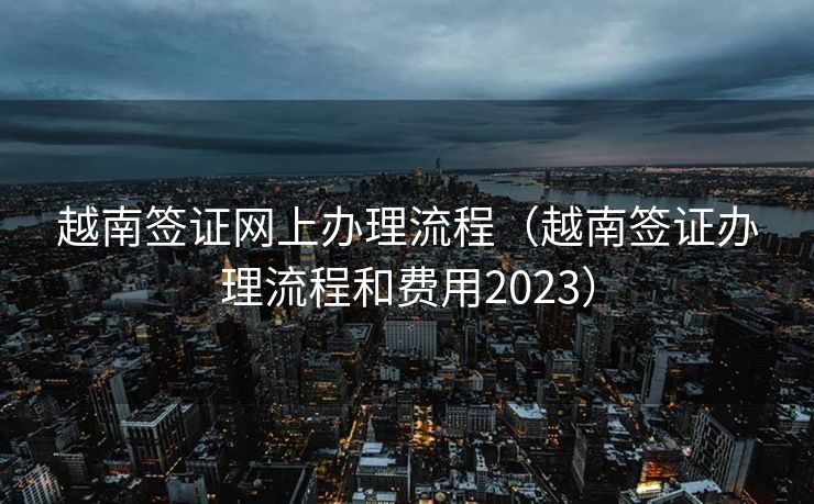 越南签证网上办理流程（越南签证办理流程和费用2023）