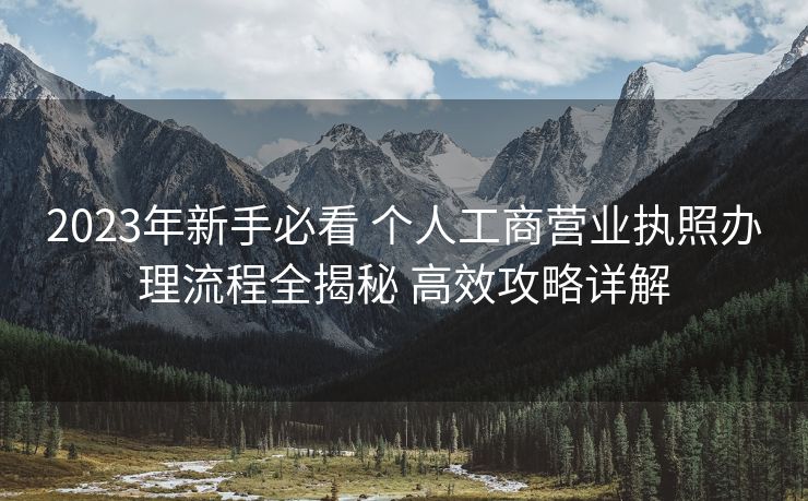 2023年新手必看 个人工商营业执照办理流程全揭秘 高效攻略详解