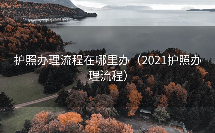护照办理流程在哪里办(2021护照办理流程) 护照办理流程在哪里办(2021护照办理流程)