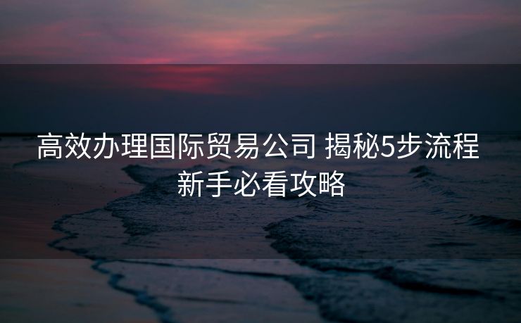 高效办理国际贸易公司 揭秘5步流程 新手必看攻略