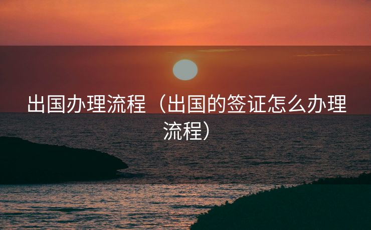 出国办理流程（出国的签证怎么办理流程）