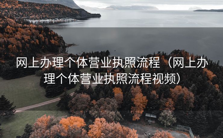 网上办理个体营业执照流程(网上办理个体营业执照流程视频) 网上办理个体营业执照流程(网上办理个体营业执照流程视频)