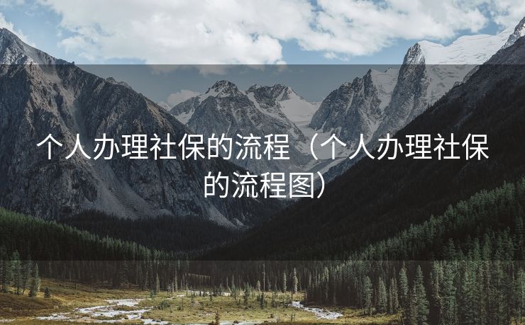 个人办理社保的流程（个人办理社保的流程图）