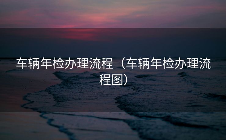 车辆年检办理流程（车辆年检办理流程图）