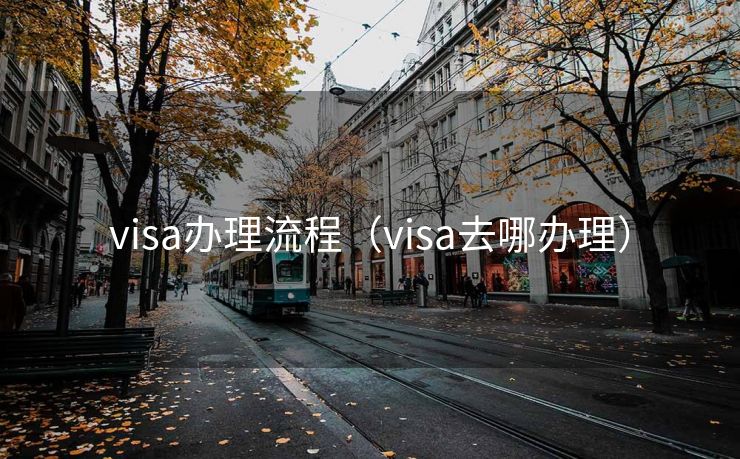 visa办理流程（visa去哪办理）