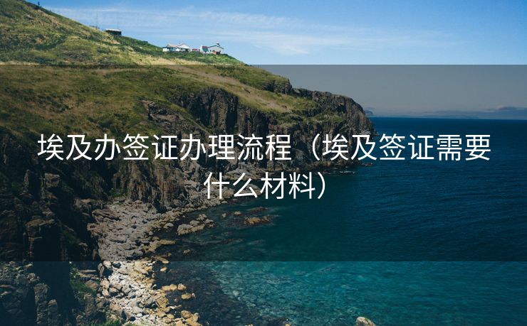 埃及办签证办理流程（埃及签证需要什么材料）