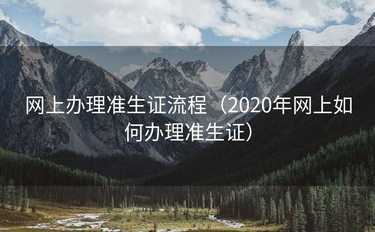 网上办理准生证流程（2020年网上如何办理准生证）