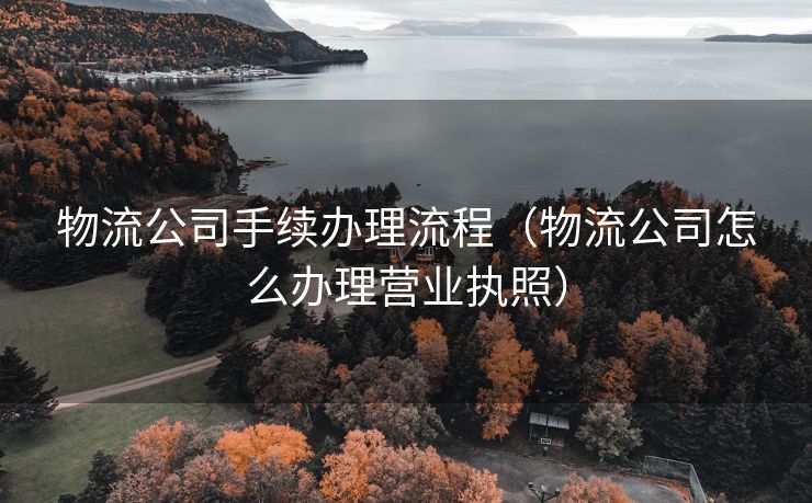 物流公司手续办理流程（物流公司怎么办理营业执照）