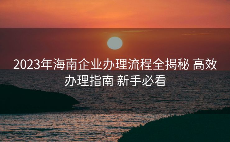 2023年海南企业办理流程全揭秘 高效办理指南 新手必看