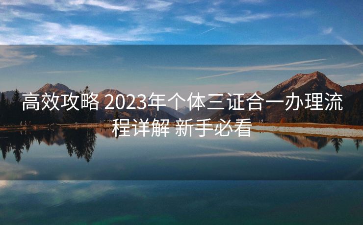 高效攻略 2023年个体三证合一办理流程详解 新手必看