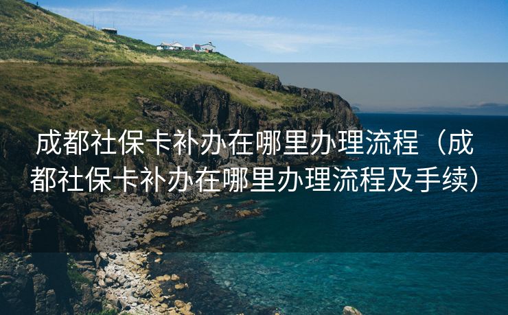 成都社保卡补办在哪里办理流程（成都社保卡补办在哪里办理流程及手续）