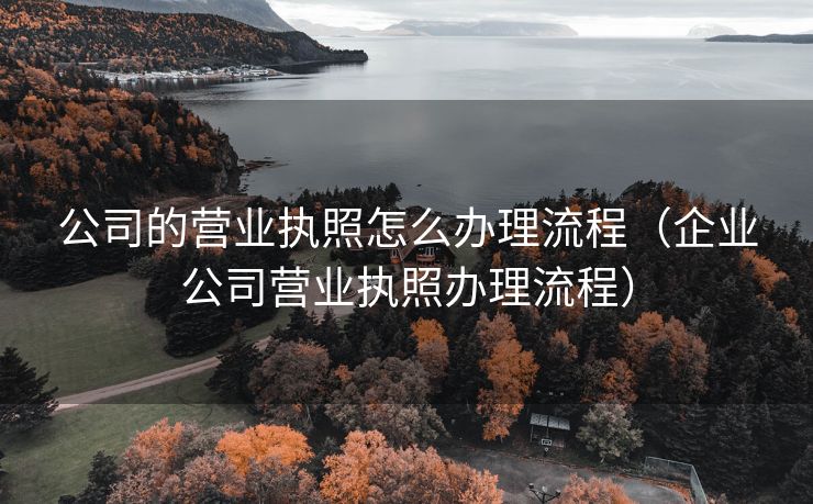 公司的营业执照怎么办理流程(企业公司营业执照办理流程) 公司的营业执照怎么办理流程(企业公司营业执照办理流程)