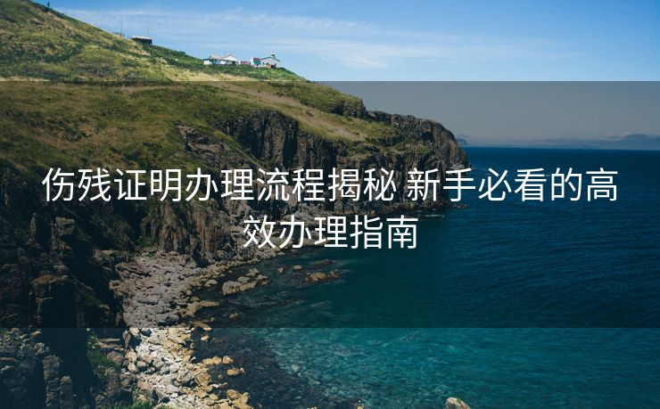 伤残证明办理流程揭秘 新手必看的高效办理指南