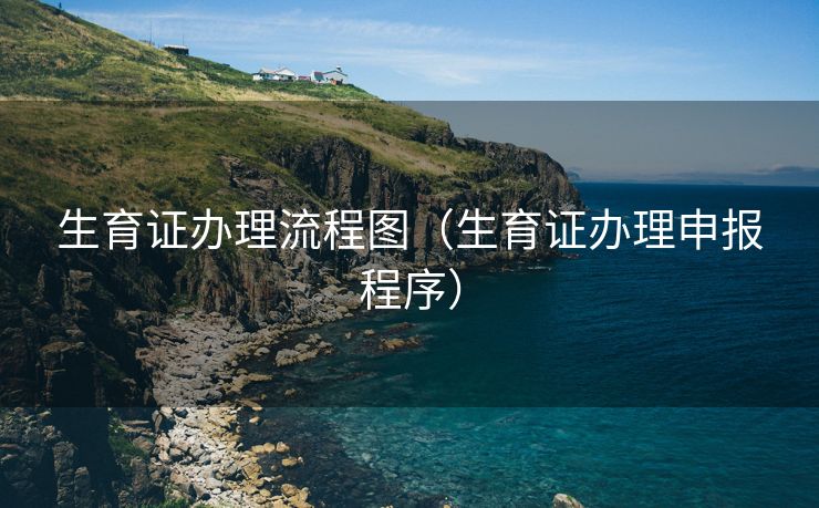 生育证办理流程图（生育证办理申报程序）