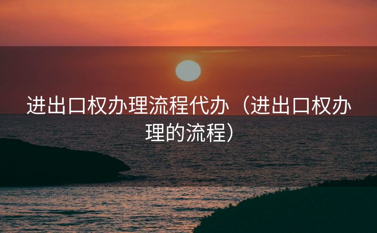 进出口权办理流程代办（进出口权办理的流程）