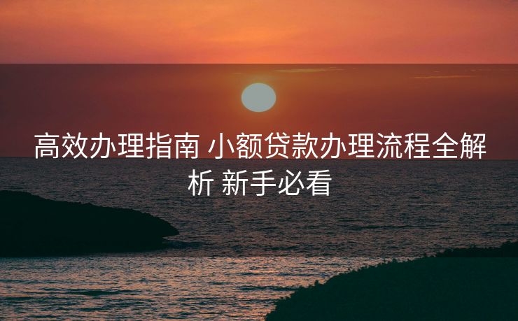 高效办理指南 小额贷款办理流程全解析 新手必看