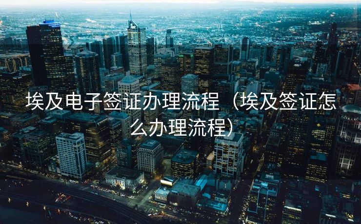 埃及电子签证办理流程（埃及签证怎么办理流程）