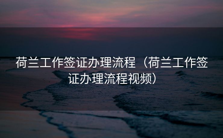 荷兰工作签证办理流程（荷兰工作签证办理流程视频）