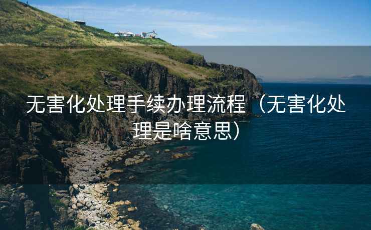无害化处理手续办理流程（无害化处理是啥意思）