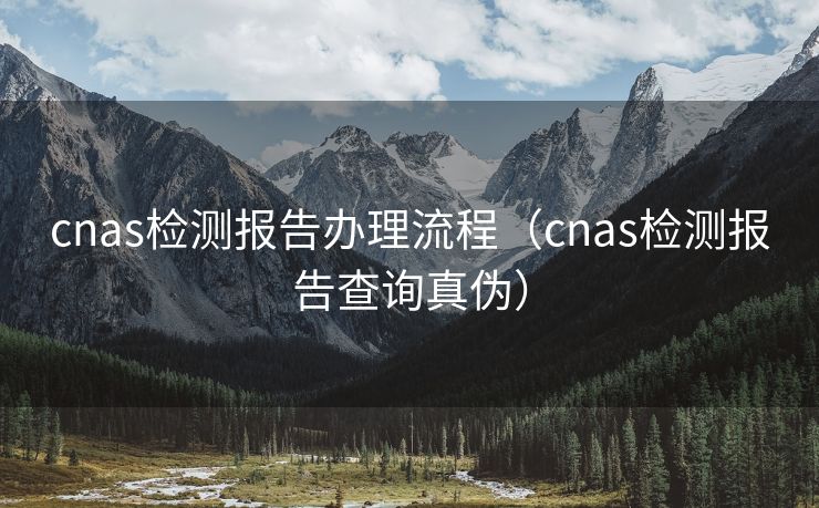 cnas检测报告办理流程（cnas检测报告查询真伪）