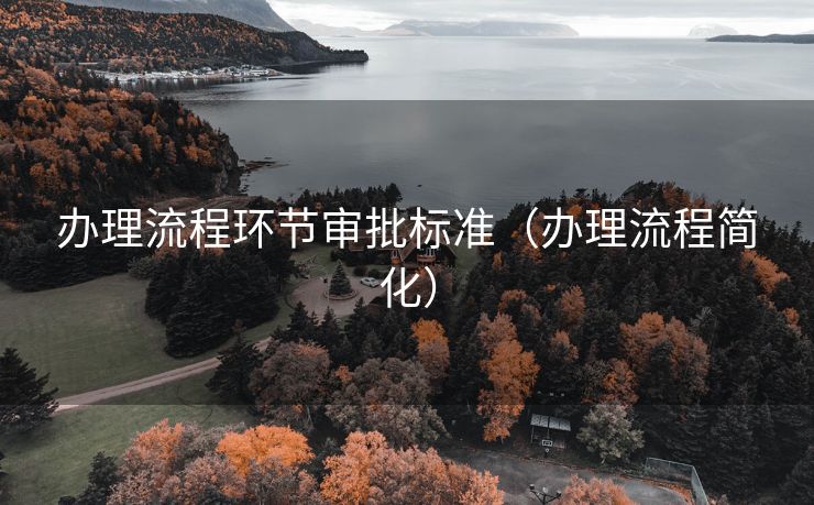 办理流程环节审批标准（办理流程简化）
