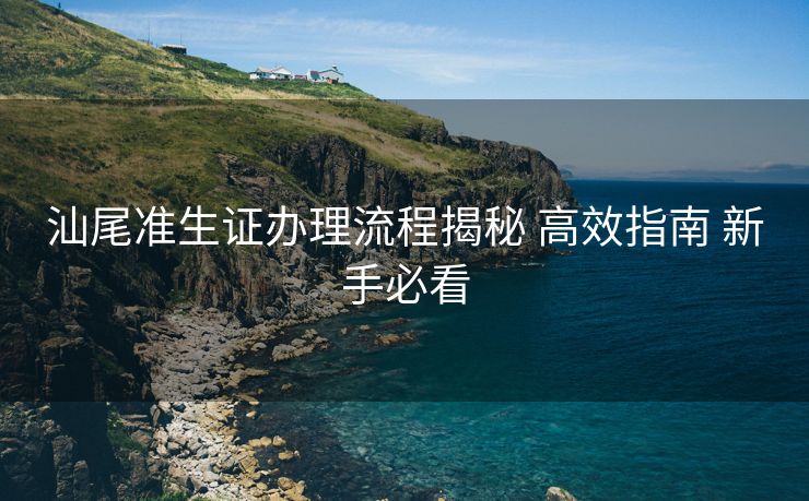 汕尾准生证办理流程揭秘 高效指南 新手必看 汕尾准生证办理流程揭秘 高效指南 新手必看