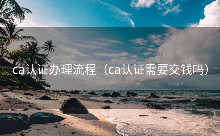 ca认证办理流程（ca认证需要交钱吗）