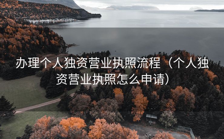 办理个人独资营业执照流程（个人独资营业执照怎么申请）