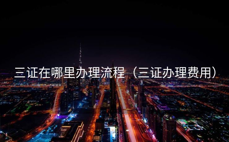 三证在哪里办理流程（三证办理费用）