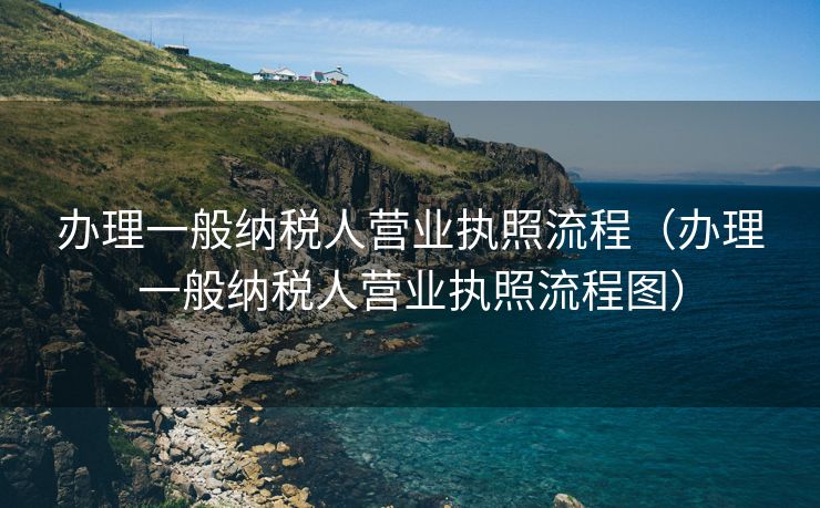 办理一般纳税人营业执照流程（办理一般纳税人营业执照流程图）