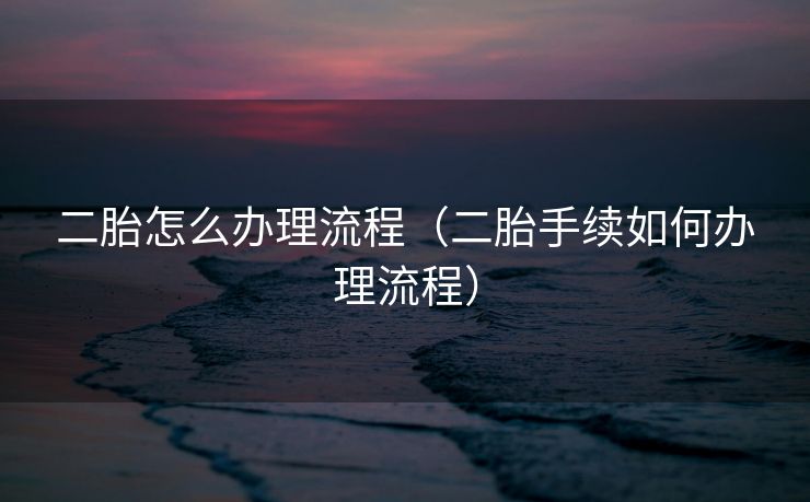 二胎怎么办理流程（二胎手续如何办理流程）