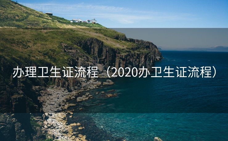办理卫生证流程（2020办卫生证流程）