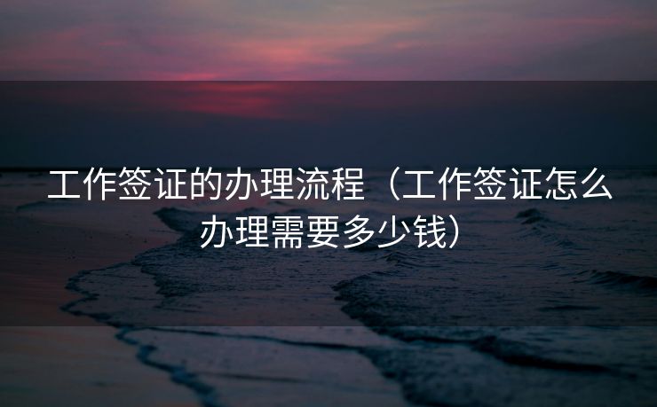 工作签证的办理流程（工作签证怎么办理需要多少钱）