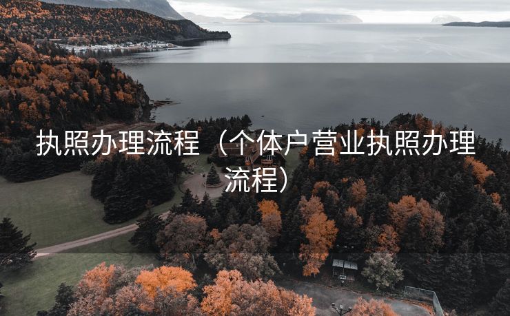 执照办理流程（个体户营业执照办理流程）