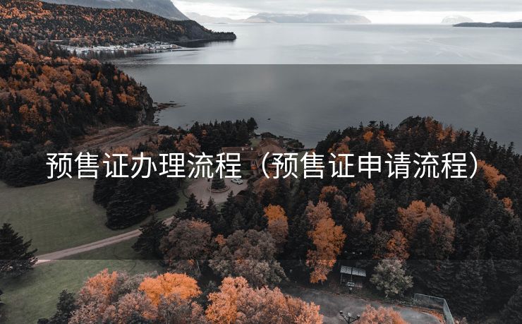 预售证办理流程（预售证申请流程）