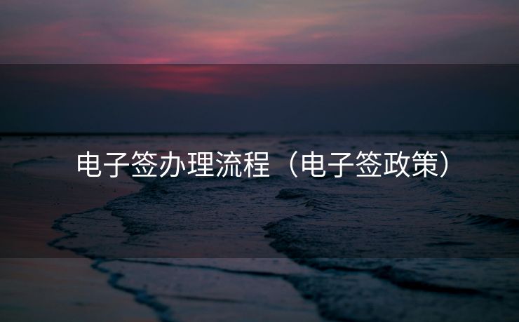 电子签办理流程（电子签政策）