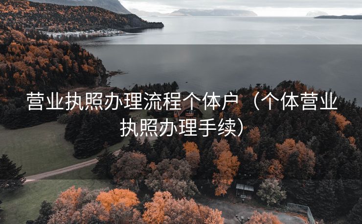 营业执照办理流程个体户（个体营业执照办理手续）