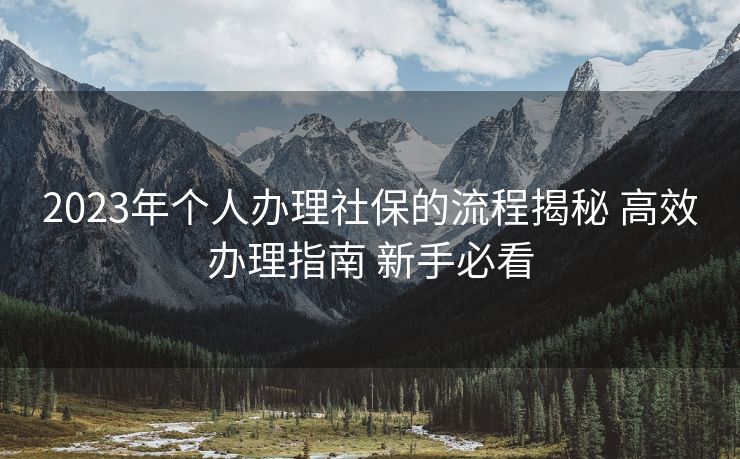 2023年个人办理社保的流程揭秘 高效办理指南 新手必看