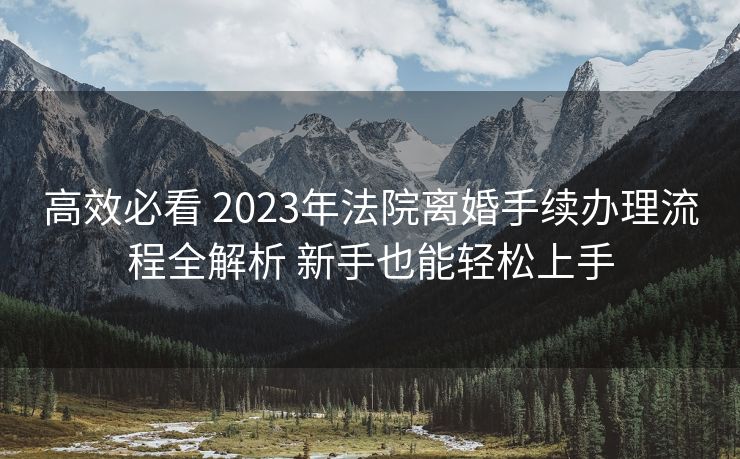 高效必看 2023年法院离婚手续办理流程全解析 新手也能轻松上手