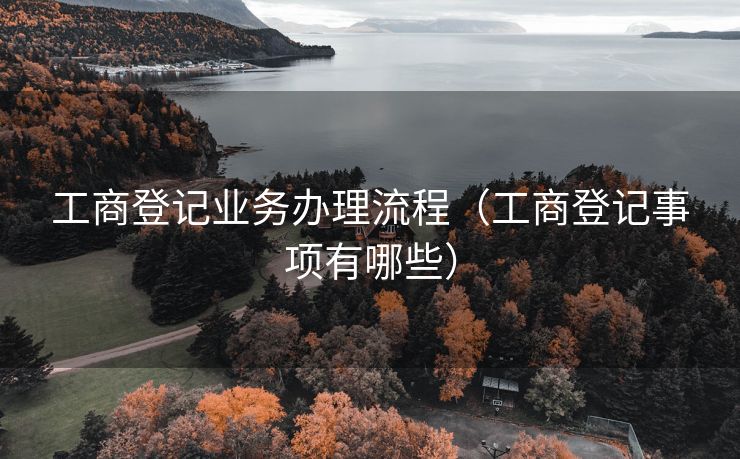 工商登记业务办理流程（工商登记事项有哪些）