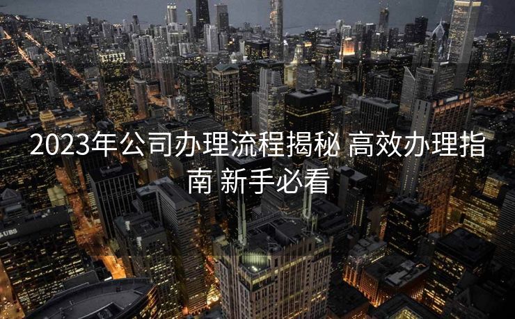 2023年公司办理流程揭秘 高效办理指南 新手必看