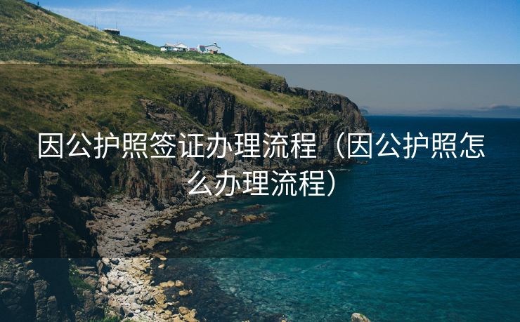 因公护照签证办理流程（因公护照怎么办理流程）