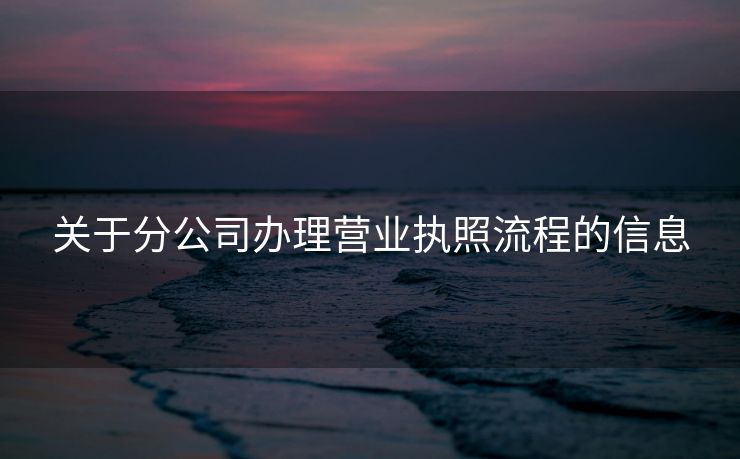 关于分公司办理营业执照流程的信息
