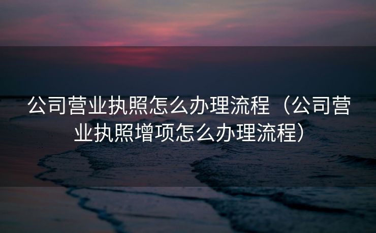 公司营业执照怎么办理流程（公司营业执照增项怎么办理流程）