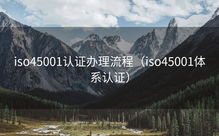 iso45001认证办理流程（iso45001体系认证）
