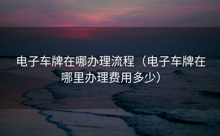 电子车牌在哪办理流程（电子车牌在哪里办理费用多少）